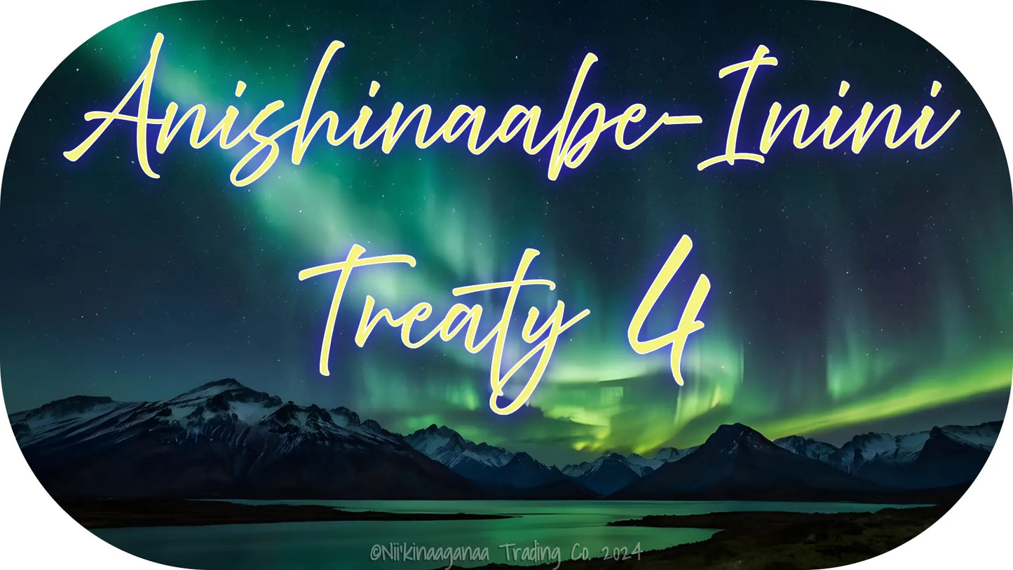 Custom Designed T-Shirt 'Anishinaabe Inini Treaty 4' Nii’kinaaganaa Trading Co.