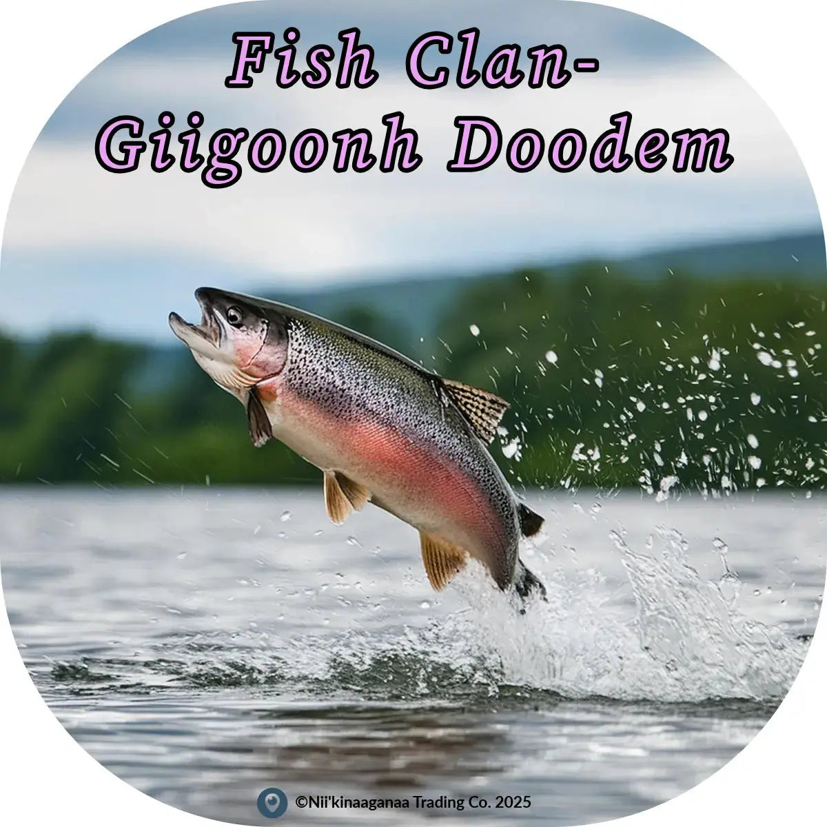 Custom Designed T-Shirt 'Fish Clan-Giigoonh Doodem' Nii’kinaaganaa Trading Co.