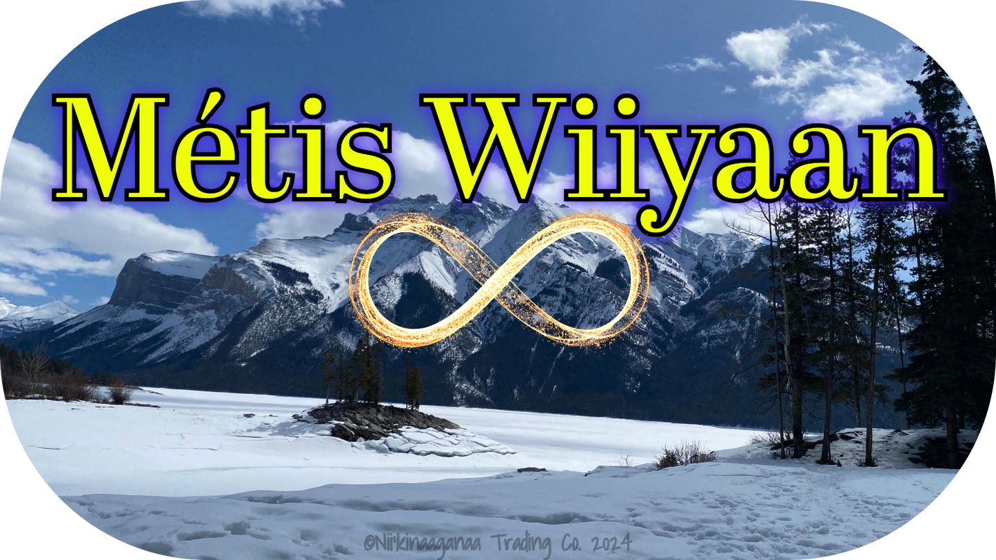 Custom Designed T-Shirts 'Métis Wiiyaan'-Design 1