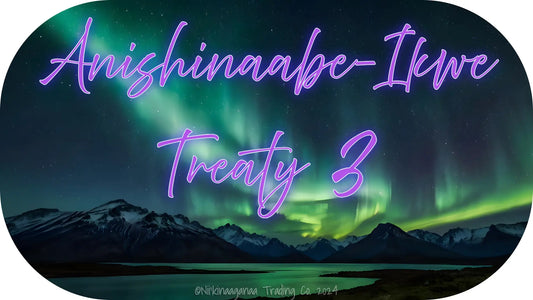 Custom Designed T-Shirt 'Anishinaabe Ikwe Treaty 3' Nii’kinaaganaa Trading Co.