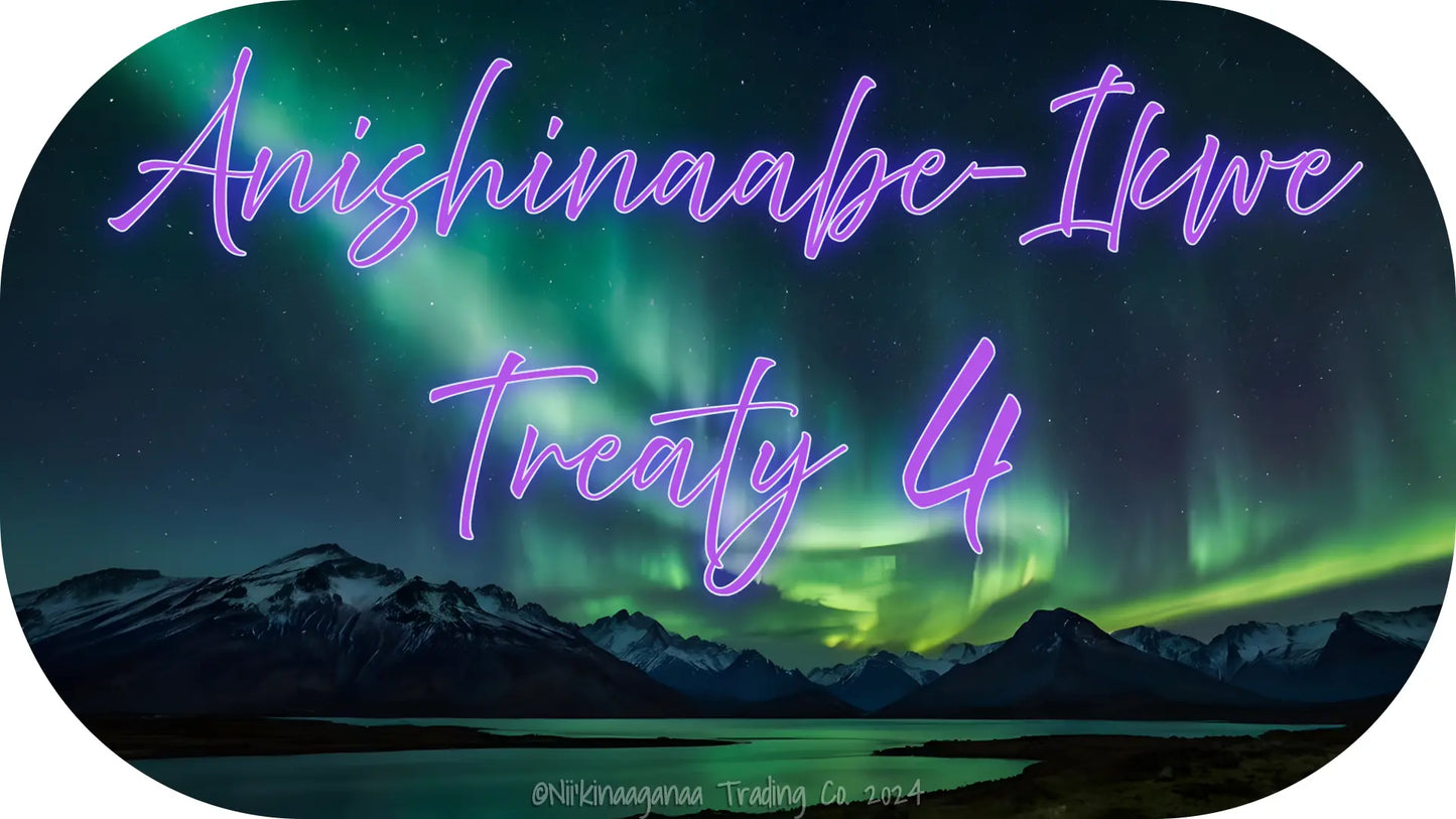 Custom Designed T-Shirt 'Anishinaabe Ikwe Treaty 4' Nii’kinaaganaa Trading Co.