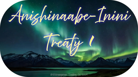 Custom Designed T-Shirt 'Anishinaabe Inini Treaty 1' Nii’kinaaganaa Trading Co.