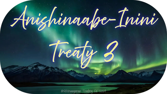 Custom Designed T-Shirt 'Anishinaabe Inini Treaty 3' Nii’kinaaganaa Trading Co.