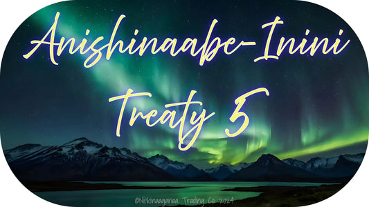 Custom Designed T-Shirt 'Anishinaabe Inini Treaty 5' Nii’kinaaganaa Trading Co.