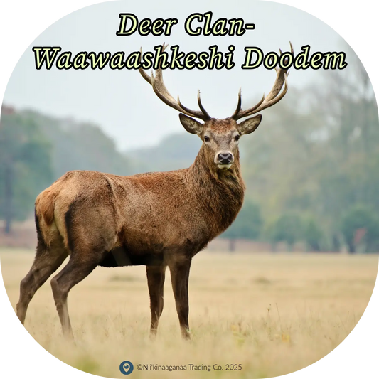 Custom Designed T-Shirt 'Deer Clan-Waawashkeshi Doodem' Nii’kinaaganaa Trading Co.