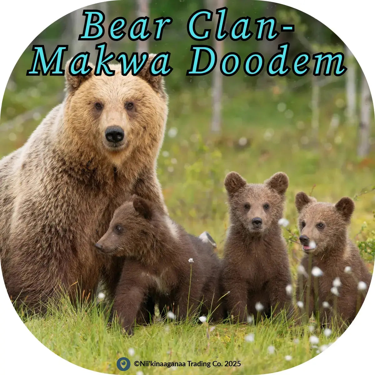 Custom Designed T-Shirt 'Fish Clan-Giigoonh Doodem' Nii’kinaaganaa Trading Co.