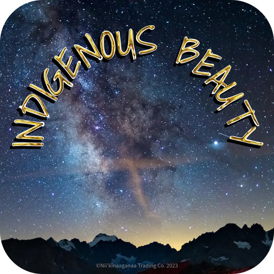 Custom Designed T-Shirt 'Indigenous Beauty' Nii’kinaaganaa Trading Co.