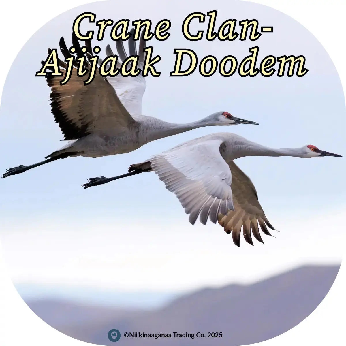 Custom Designed T-Shirt 'Loon Clan-Maang Doodem' Nii’kinaaganaa Trading Co.