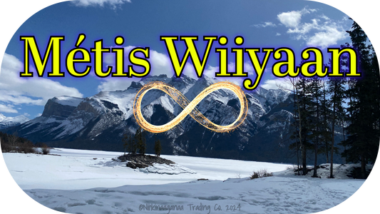Custom Designed T-Shirts 'Métis Wiiyaan'-Design 1