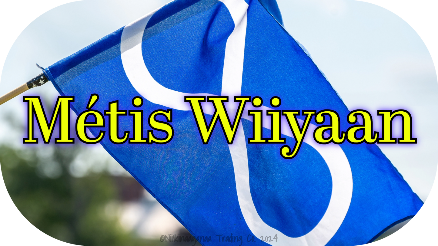 Custom Designed T-Shirts 'Métis Wiiyaan'- Design 2