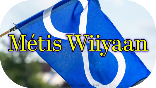 Custom Designed T-Shirts 'Métis Wiiyaan'- Design 2